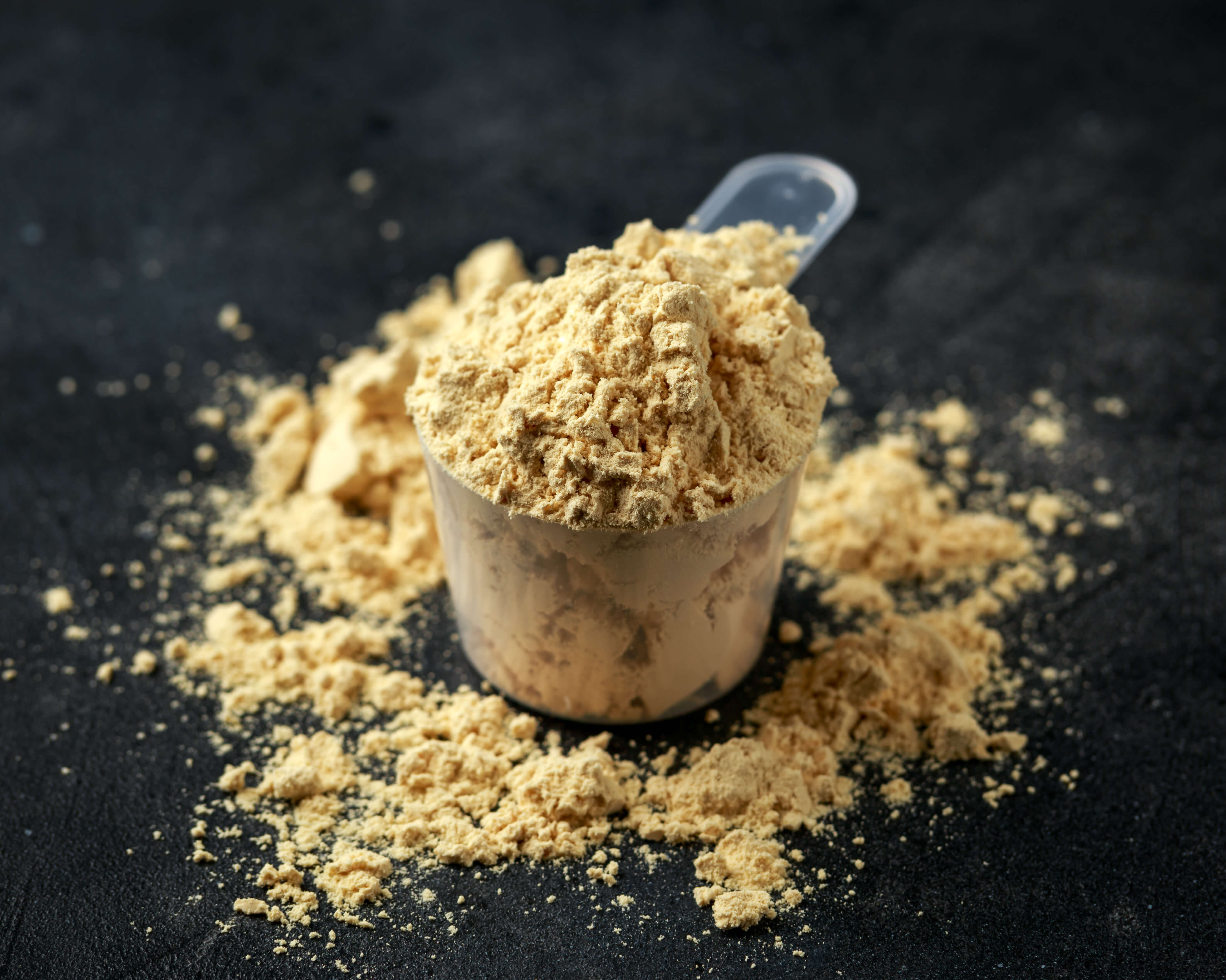 wegańska odżywka białkowa 