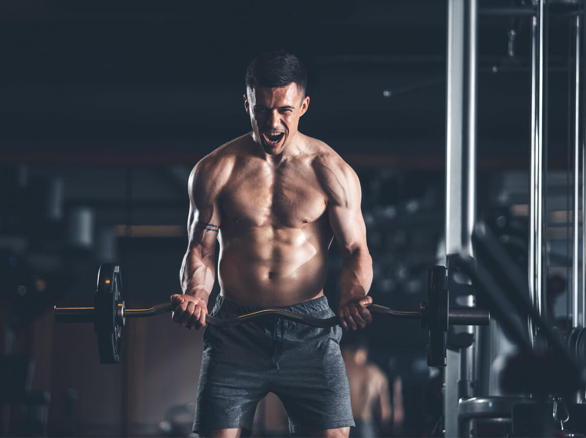 kreatyna i beta alanina - trening siłowy 