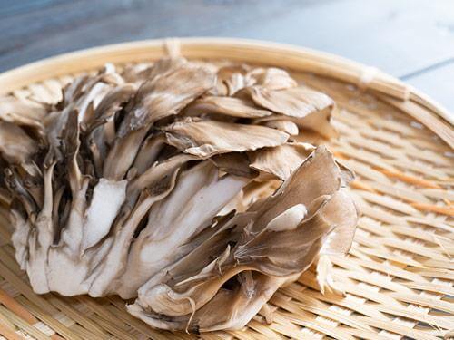 Grzyb maitake na co pomaga?