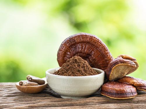 Grzyb reishi – na co pomaga, jak działa i jak go stosować?