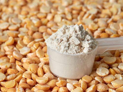 Ranking białek roślinnych - TOP3 odżywek białkowych dla wegan