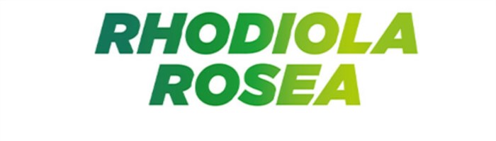 Kliknij aby powiększyć