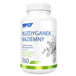 BUZDYGANEK NAZIEMNY