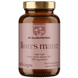 Mushrooms Lion's Mane