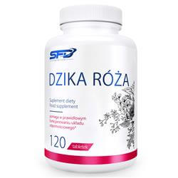 Dzika Róża