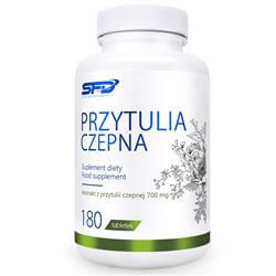 Przytulia Czepna